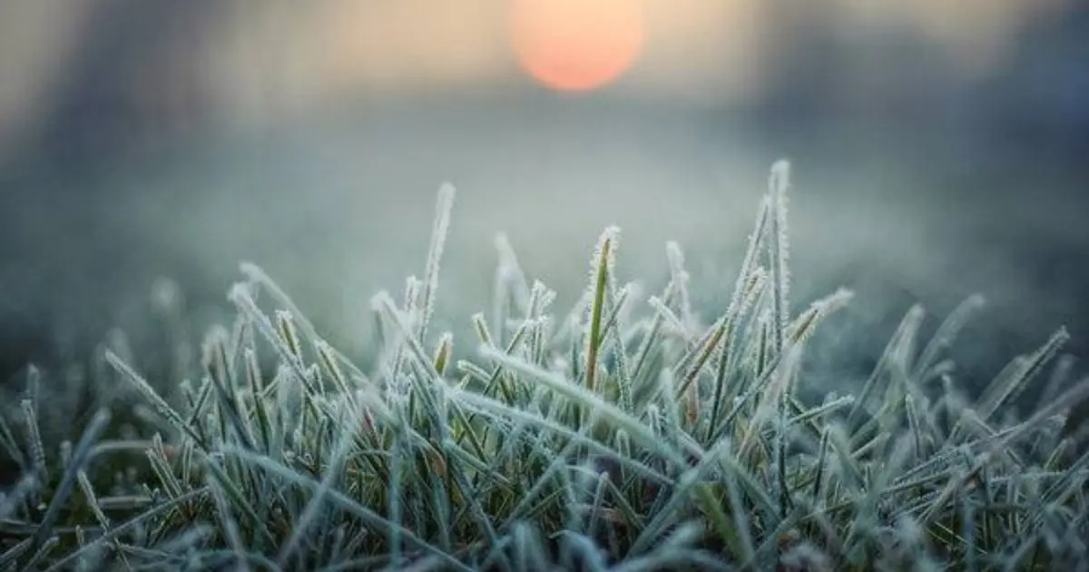 Зображення до новини