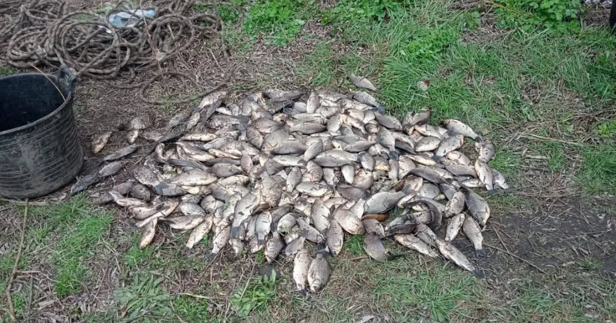 Зображення до новини