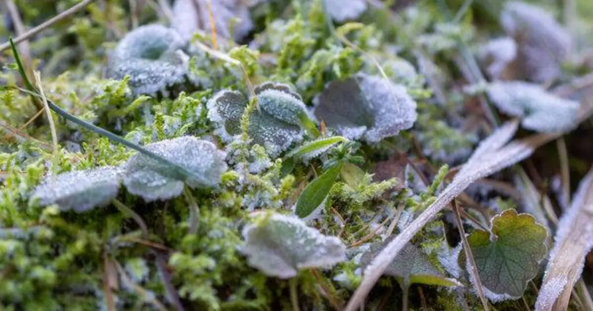 Зображення до новини