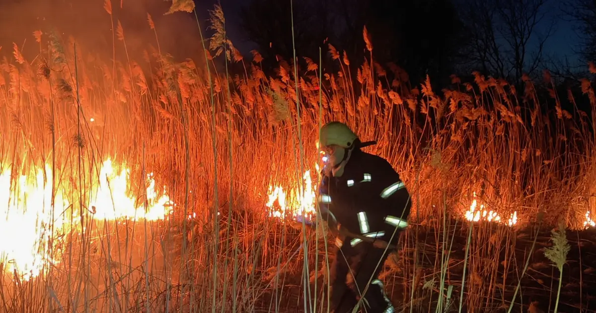 Зображення до новини