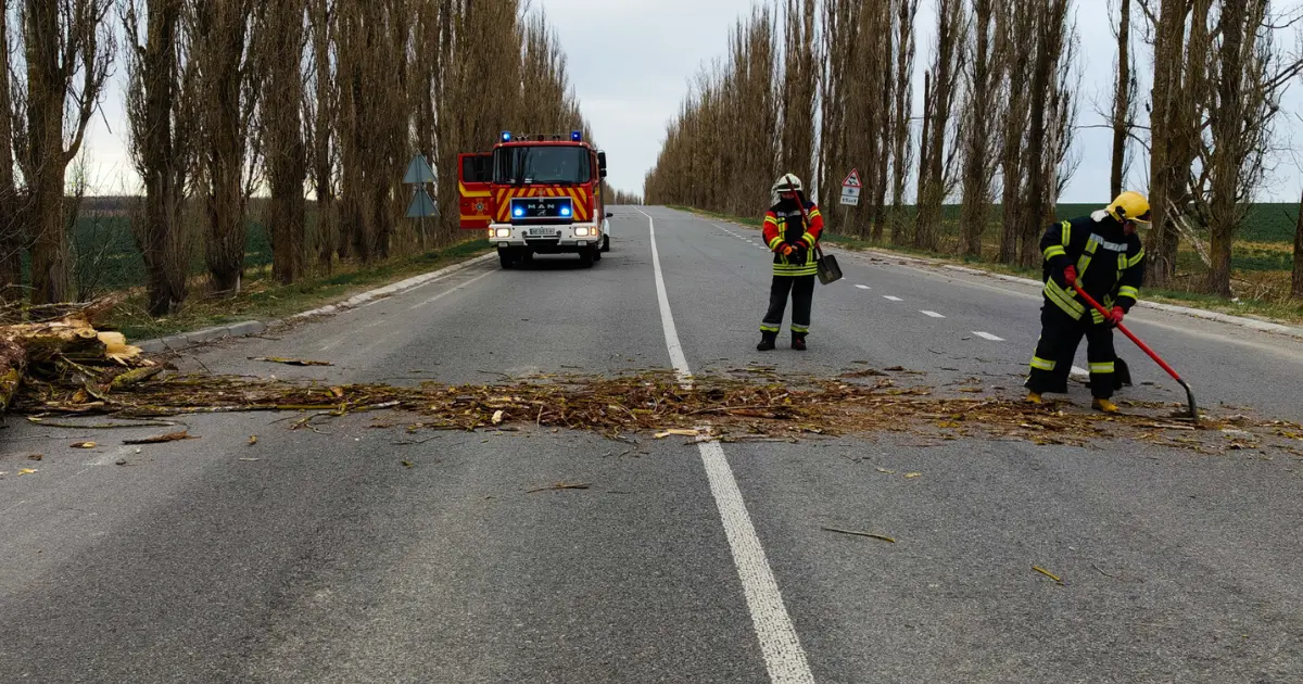 Зображення до новини
