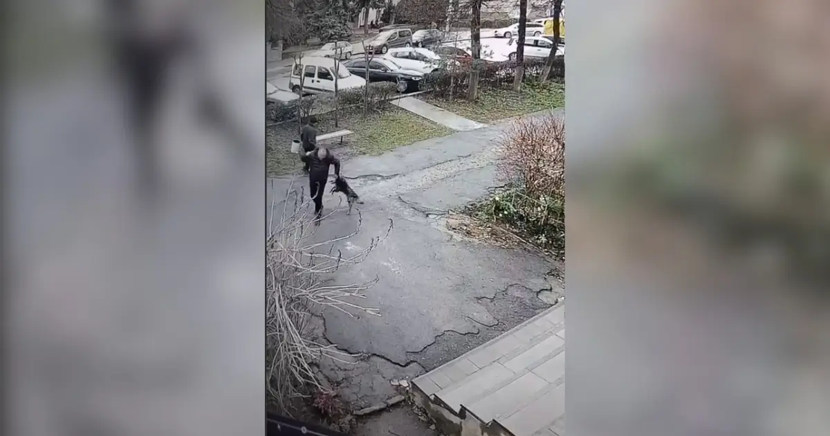 Зображення до новини