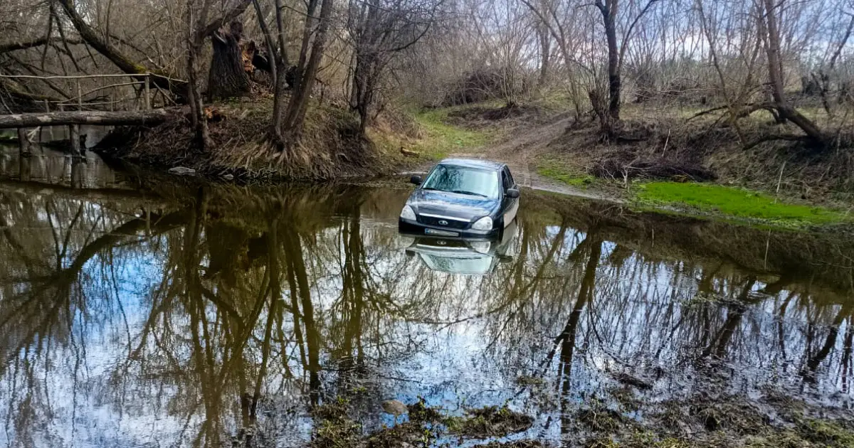 Зображення до новини
