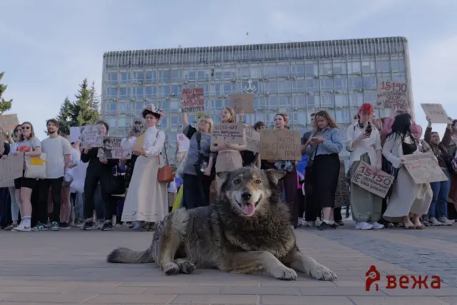 Crowd of protesters holding handmade signs in Cyrillic, standing before a gray office building; a large dog rests in the foreground.