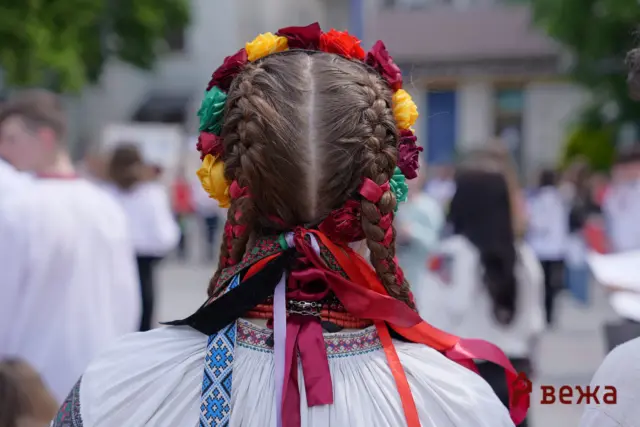 Back view of a person with braided hair and a colorful flower wreath at a street festival in the crowd.
