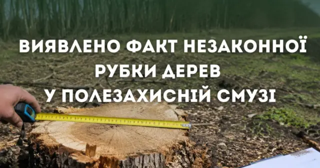 опис test-image