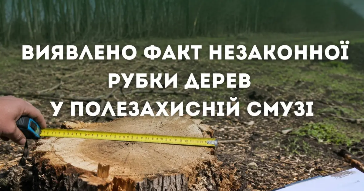 Зображення до новини