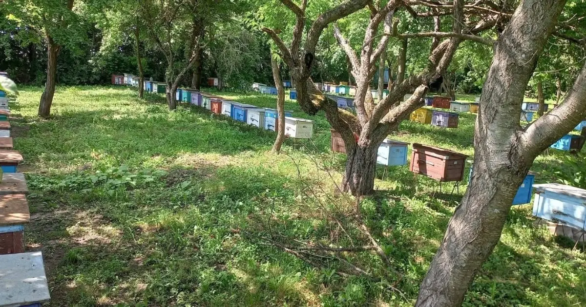 test-image-5