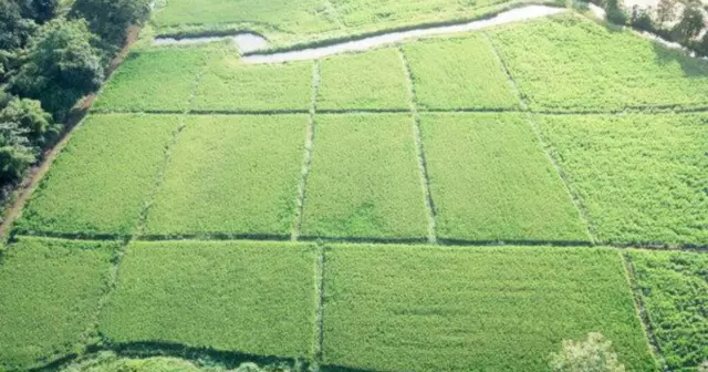 опис test-image