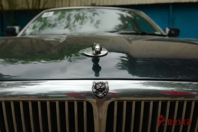 Close-up of a small chrome dog hood ornament on a black car, with a reflective surface and grille below.
