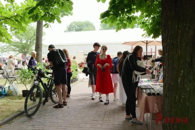 Outdoor park market with people browsing stalls under leafy trees on a sunny day, bicycles parked nearby.