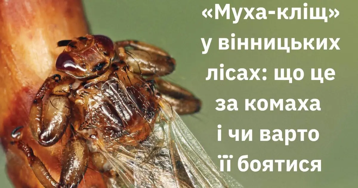 test-image-5