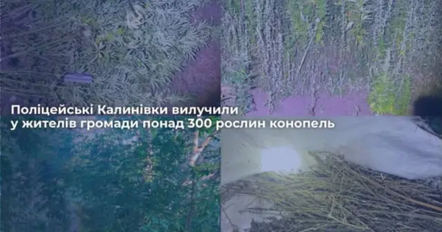 опис test-image