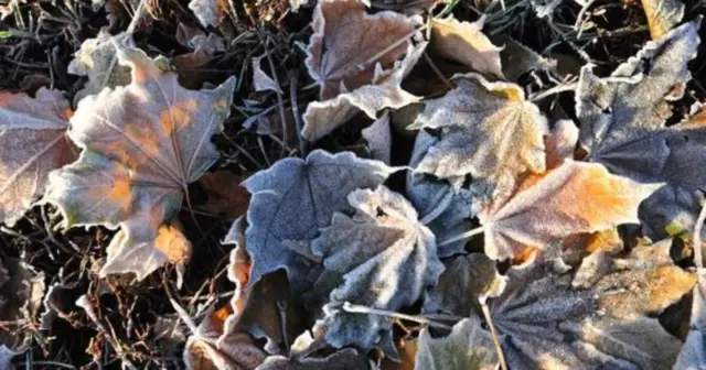 опис test-image