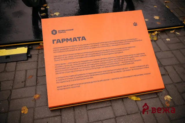 Щити, мечі та донати на Starlink: яким був дев'ятий турнір пам'яті Максима Шимка у Вінниці