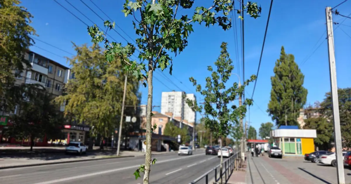 У Вінниці планують озеленити місто понад сотнею нових насаджень