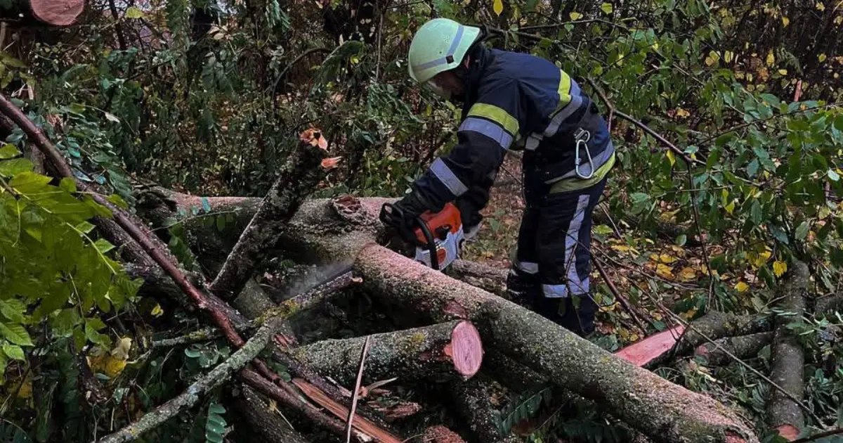 На Вінниччині рятувальники п’ять разів виїжджали через негоду та прибирали повалені дерева