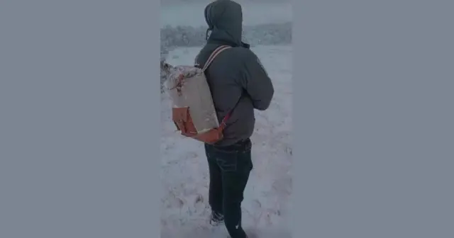 опис test-image