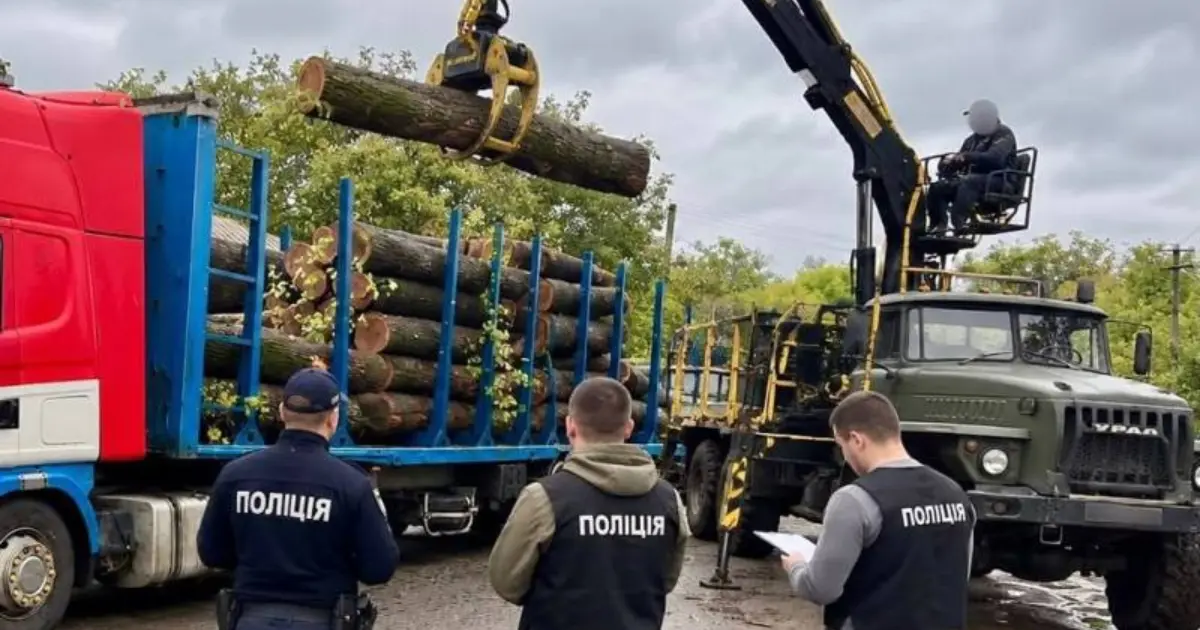 На Вінниччині викрили групу працівників лісництва, які незаконно продавали деревину
