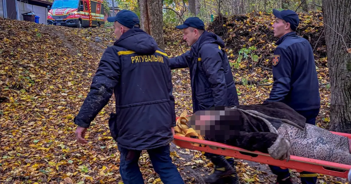 Рятувальники Вінниччини розшукали жінку, яка пішла по гриби і не повернулась
